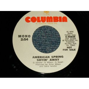 画像: AMERICAN SPRING (Ex:HONEYS)  - SHYIN' AWAY  A)MONO   B)STEREO  (BRIAN WILSON Works) (MINT-/MINT-)  / 1973 US AMERICA ORIGINAL "PROMO ONLY Same Flip MONO/STEREO" Used 7" Single 