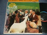 画像: THE BEACH BOYS - PET SOUNDS (Matrix #A)T-1-2458-G-28 ・1 ＊ B)DT-2-2458-F27 ・ ＊) "LOS ANGELES Press in CA" (Ex++/Ex- Looks:Ex+) / 1966 US AMERICA ORIGINAL 1st Press "BLACK with RAINBOW Label" "MONO" Used LP