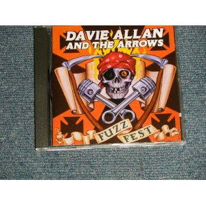 画像: DAVIE ALLAN & THE ARROWS -FUZZ FEST (MINT-/MINNT / 1996 EU Used CD 