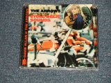 画像: DAVIE ALLAN & THE ARROWS  - CYCLE-DELIC SOUNDS (MINT-/MINT-)  / 2005 US AMERICA Used CD