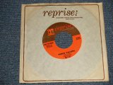 画像: JACK NITZSCHE - A)PUERTO VALLARTA  B)SENORITA FROM DETROIT (Ex+++ Looks:Ex+++/Ex+++ Looks:Ex+++) / 1964 US AMERICA ORIGINAL Used 7"45 Single