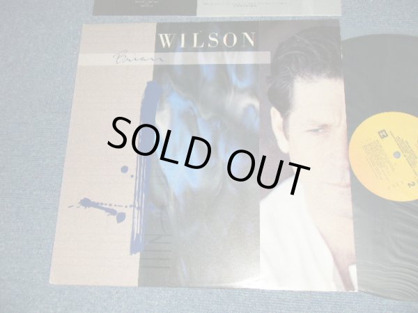 画像1: BRIAN WILSON of THE BEACH BOYS - BRIAN WILSON  (With CUSTOM INNER) (Ex++/MINT-) / 1988 US AMERICA ORIGINAL Used LP