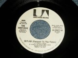 画像: THE VENTURES -  SKYLAB ( Passport To The Future)   A) MONO  B) STEREO (MINT-/MINT-) / 1973 US AMERICA ORIGINAL "PROMO ONLY SAME FLIP MONO/STEREO" Used 7" SINGLE
