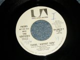 画像: THE VENTURES - THEME, "AIRPORT 1975"  A) MONO  B) STEREO (MINT-/MINT- SWOL) / 1974 US AMERICA ORIGINAL "PROMO ONLY SAME FLIP MONO/STEREO" Used 7" SINGLE