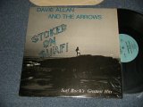 画像: DAVIE ALLAN & The ARROWS - STOCKED ON SURF (MINT-/MINT-) / 1982 US AMERICA ORIGINAL Used 12" Single
