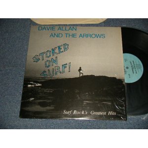 画像: DAVIE ALLAN & The ARROWS - STOCKED ON SURF (MINT-/MINT-) / 1982 US AMERICA ORIGINAL Used 12" Single
