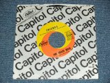 画像: THE BEACH BOYS - A) FRIENDS   LITTLE BIRD (MINT/MINT) / 1966 US AMERICA ORIGINAL Used 7" SINGLE