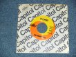 画像1: THE BEACH BOYS - A) WILD HONEY  B)WIND CHIMES  (Ex+++/Ex+++) / 1968 US AMERICA ORIGINAL Used 7" SINGLE