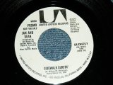 画像: JAN & DEAN - SIDEWALK SURFIN (A)MONO   B)STEREO (MINT/MINT) / 1975 US AMERICA ORIGINAL "PROMO ONLY SAME FLIP"  Used 7"SINGLE 