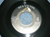 画像: D.D.T. And The Repellents (TOKENS' MEMBER??) - A)The Fly Swatter   B)Bee Side (Ex++/Ex++) / 1962 US AMERICA ORIGINAL Used 7" 45rpm Single
