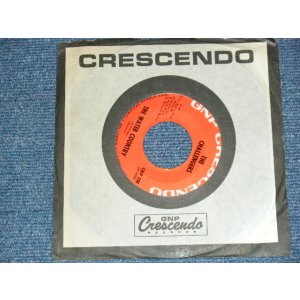 画像: THE CHALLENGERS - A) THE WATER COUNBTRY   B) EVERYTHING TO ME (MINT/MINT) / 1965 US AMERICA ORIGINAL Used 7" 45 SINGLE 