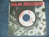 画像: JAN BERRY - SKATEBOARD SURFIN’ USA   A)MONO   B)STEREO (MINT/MINT)  / 1978 US AMERICA ORIGINAL "PROMO ONLY SAME FLIP M/ST" Used 7" SINGLE