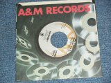 画像: JAN BERRY - A) SKATEBOARD SURFIN’ USA    B) HOW-HOW I LOVE HER  (MINT-/MINT-)  / 1978 US AMERICA ORIGINAL Used 7" SINGLE