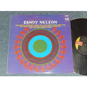 画像: SANDY NELSON - REBIRTH OF THE BEAT (Ex++/Ex+++) / 1969 US ANERICA  ORIGINAL  Used  LP 