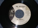 画像: THE CRYSTALS - ALL GROWN UP ( WHITE LABEL PROMO   Ex++/Ex++ : ) / 1964 US ORIGINAL 7" SINGLE 