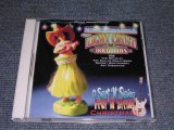 画像: NOKIE EDWARDS ( of THE VENTURES ) -A SURFIN' N' SWINGING FRET 'N' STRING CHRISTMAS   /2000 US Brand New CD 