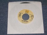 画像: THE BEACH BOYS - I CAN HEAR MUSIC / 1974 US ORIGINAL PROMO ONLY SAME FLIP SPECIAL COUPLING 7"Single