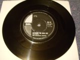 画像: THE FANTASTIC BAGGYS( P.F.SLOAN & STEVE BARRI )  - PA PA DO RON RON ( Ex++/Ex++ )  / 1960s SOUTH AFRICA ORIGINAL 7"SINGLE  