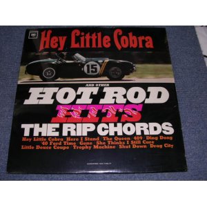 画像: THE RIP CHORDS - HEY LITTLE COBRA /  1964 US ORIGINAL MONO Brand New Sealed LP