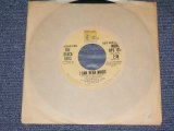 画像: THE BEACH BOYS - I CAN HEAR MUSIC / 1974 US ORIGINAL PROMO ONLY SAME FLIP SPECIAL COUPLING 7"Single