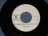 画像: THE BEACH BOYS - SLOW SUMMER DANCIN' ( ONE SUMMER NIGHT )  / 19?? USTEST PRESS?? ACETATE PRESS  7"Single