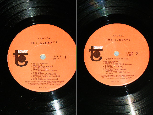 画像: The SUNRAYS - ANDREA  ( MONO : T1-5017-F1/T2-5017-F1  Ex/Ex+++ ) / 1966 US ORIGINAL MONO  LP