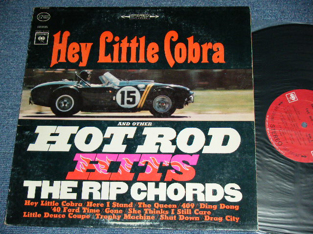 画像1: THE RIP CHORDS - HEY LITTLE COBRA  ( Matrix # 1A/1B) (VG+++/.Ex++)  / 1964 US AMERICA ORIGINAL 2nd Press "360 Sound Label" STEREO Used LP