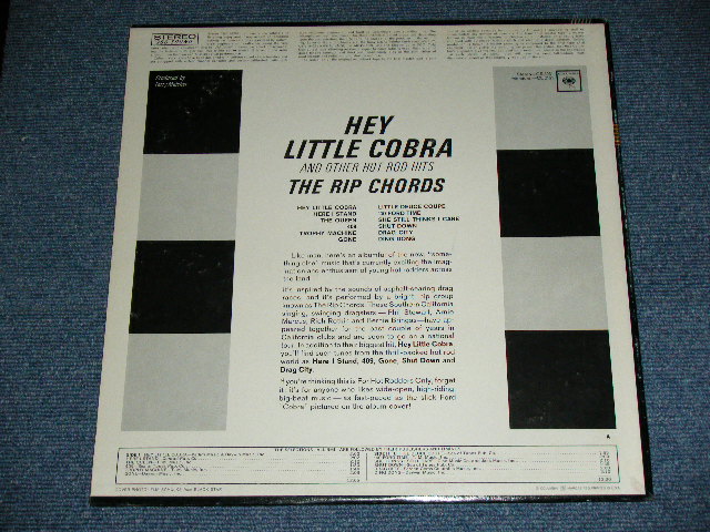 画像: THE RIP CHORDS - HEY LITTLE COBRA  ( Matrix # 1D/1E)(Ex/Ex+,Ex+++)  /1964 US AMERICA ORIGINAL 2nd Press "360 Sound Label" STEREO Used LP