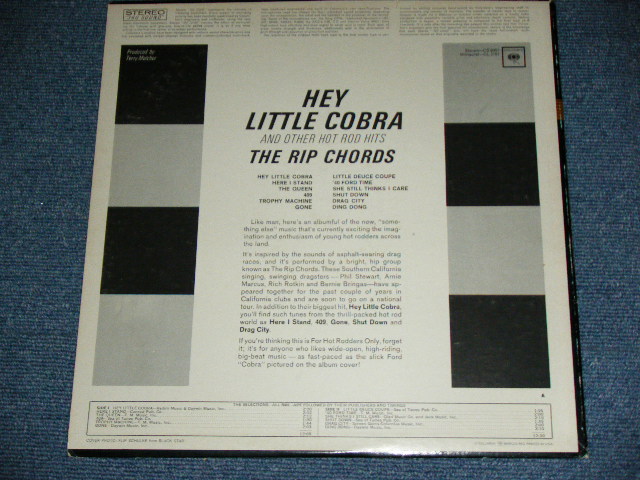 画像: THE RIP CHORDS - HEY LITTLE COBRA  ( Matrix # 1D/1E) (Ex+/Ex+++)/ 1964 US AMERICA ORIGINAL 2nd Press "360 Sound Label" STEREO Used LP