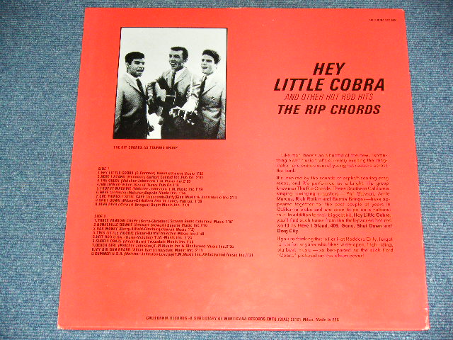 画像: THE RIP CHORDS - HEY LITTLE COBRA  ( 18 Tracks Best )   / 1980's EUROPE Used LP 
