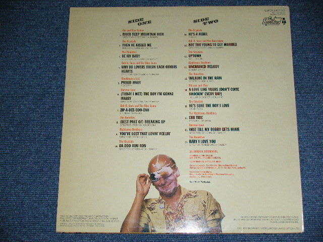 画像:  VA ( IKE & TINA TURNER+CRYSTALS+RONETTES+DARLEN LOVE+More ) - PHIL SPECTOR'S 20 GREATEST HITS ( Ex++/Ex+++)  / 1975  UK ENGLAND ORIGINAL MONO Used LP 
