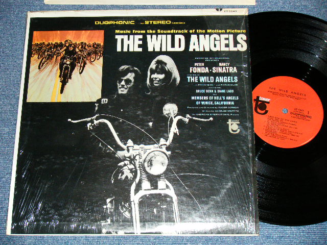 画像1: ost Sound Track : V.A. OMNIBUS : DAVIE ALLAN & The ARROWS - THE WILD ANGELS ( Ex+++/MINT-)   /  1966 US AMERICA "DUOPHONIC STEREO"  Used  LP 