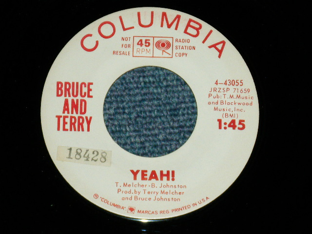 画像: BRUCE and TERRY (BRUCE JOHNSTON & TERRY MELCHER Works)  -  SUMMER MEANS FUN : YEAH!  ( MINT-/MINT- )  / 1964 US AMERICA ORIGINAL "WHITE LABEL PROMO" Used 7" Single
