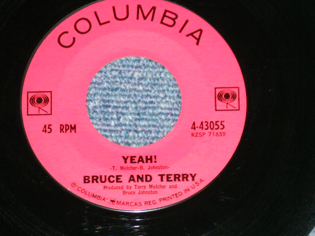 画像: BRUCE and TERRY (BRUCE JOHNSTON & TERRY MELCHER Works)  -  SUMMER MEANS FUN : YEAH!  ( MINT-/MINT- )  / 1964 US AMERICA ORIGINAL Used 7" Single