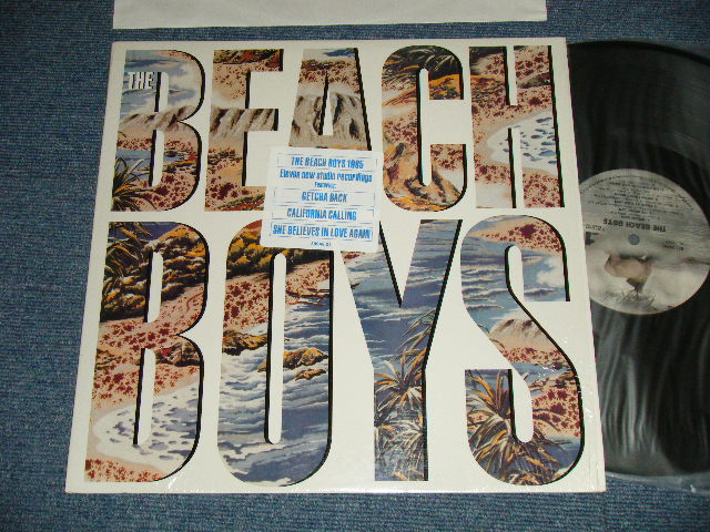 画像1: THE BEACH BOYS - THE BEACH BOYS (MINT/MINT)   / 1985 US AMERICA  ORIGINAL Used LP
