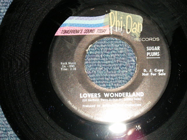 画像1: SUGAR PLUMS - A) LOVERS WONDERLAND  B) SUGAR PLUM BLUES (MINT-/MINT-)  /  1966 US AMERICA ORIGINAL Used 7" SINGLE 