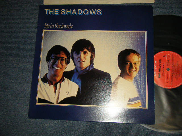 画像1: THE SHADOWS - LIFE IN THE JUNGLE (Ex++/MINT) / 1982 UK ENGLAND REISSUE Used  LP 