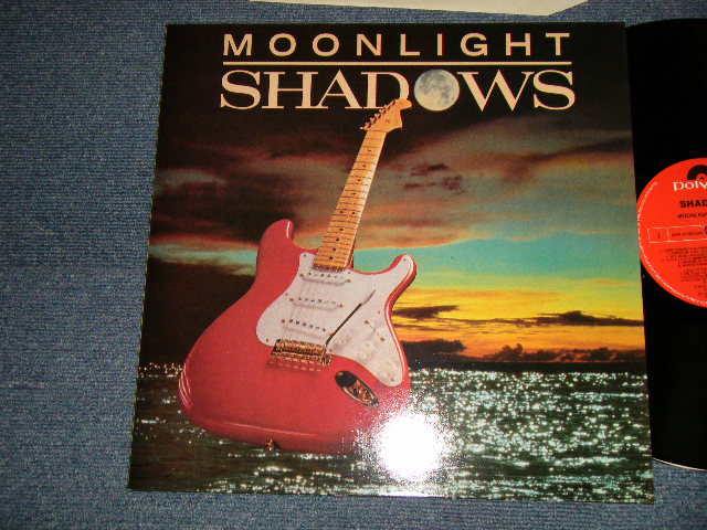 画像1: THE SHADOWS - MOONLIGHT.SHADOWS (MINT/MINT) / 1986 UK ENGLAND ORIGINAL Used LP