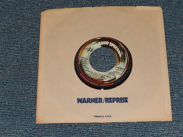 画像1: DARLENE LOVE -  LORD IF YOU'RE A WOMAN  A)MONO   B)STEREO (MINT/MINT) / 1977 US AMERICA ORIGINAL "PROMO ONLY M/ST" Used 7" Single