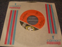 画像: BOB SLED & THE TOBOGGANS(BRUCE JOHNSTON of THE BEACH BOYS) - HERE WE GO / 1963 US ORIGINAL 7"SINGLE 