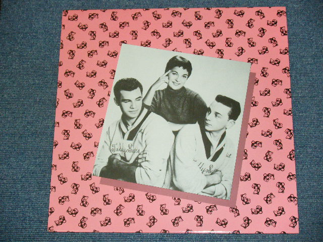 画像1: THE TEDDY BEARS - MY LITTLE PET ( PINK JACKET ) / 1980's  DENMARK Used LP  